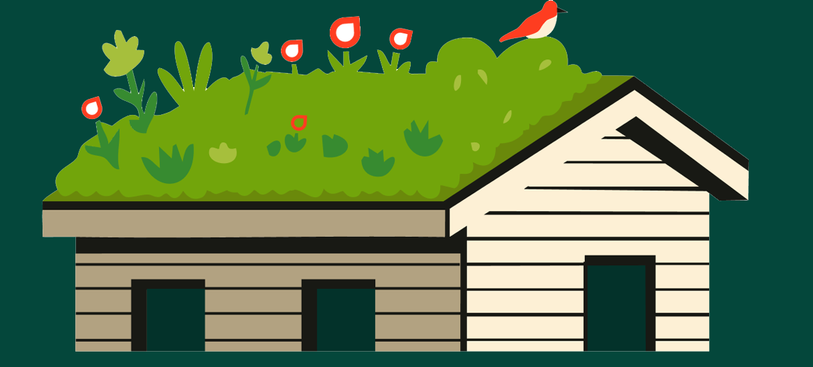 Biodiversitätsdach – Dachbegrünung zur Verbesserung des Mikroklimas – Dachgrün Biodiversitätsdach - Dachbegrünung zur Verbesserung des Mikroklimas - Dachgrün